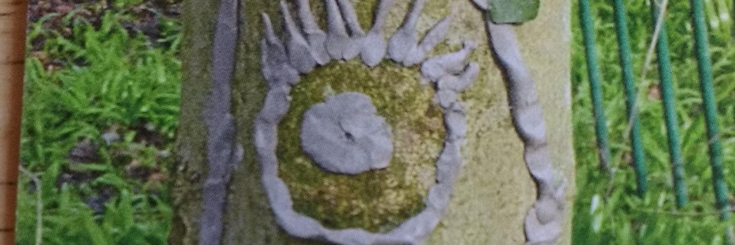 margonvt's profile banner image