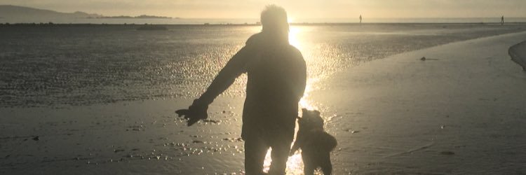KateFoxton1's profile banner image