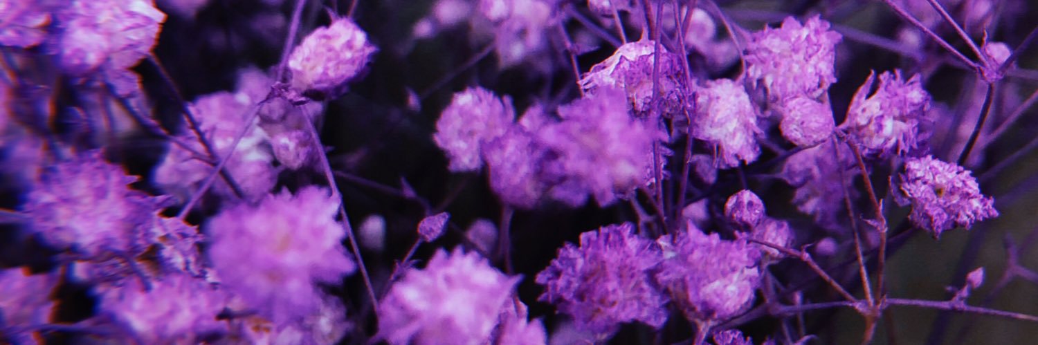 Vic_tfs's profile banner image
