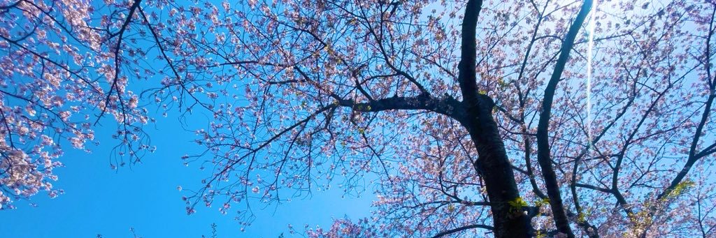 takasan_320's profile banner image