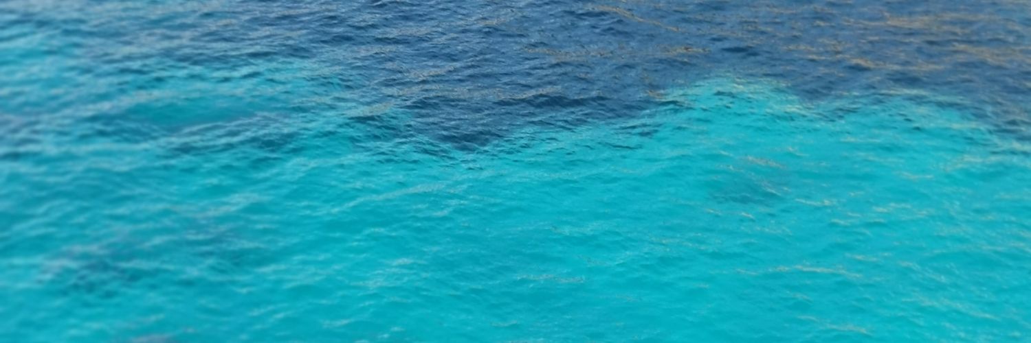 Perrineland's profile banner image