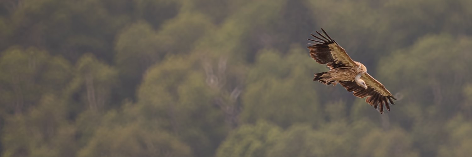 uxandmore's profile banner image