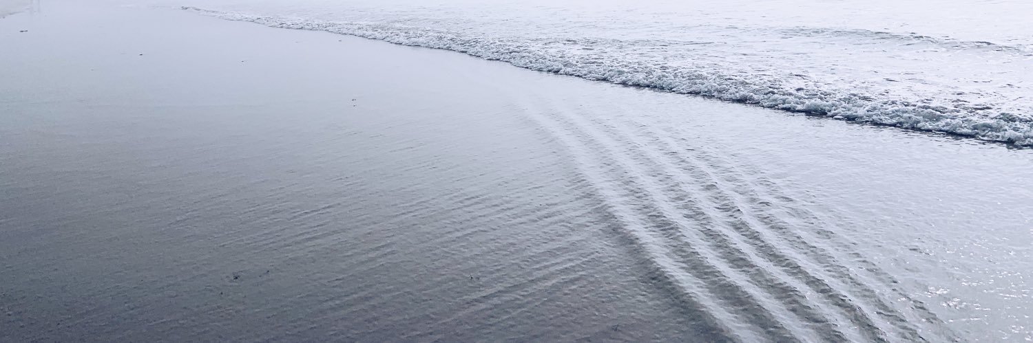 surferlio's profile banner image