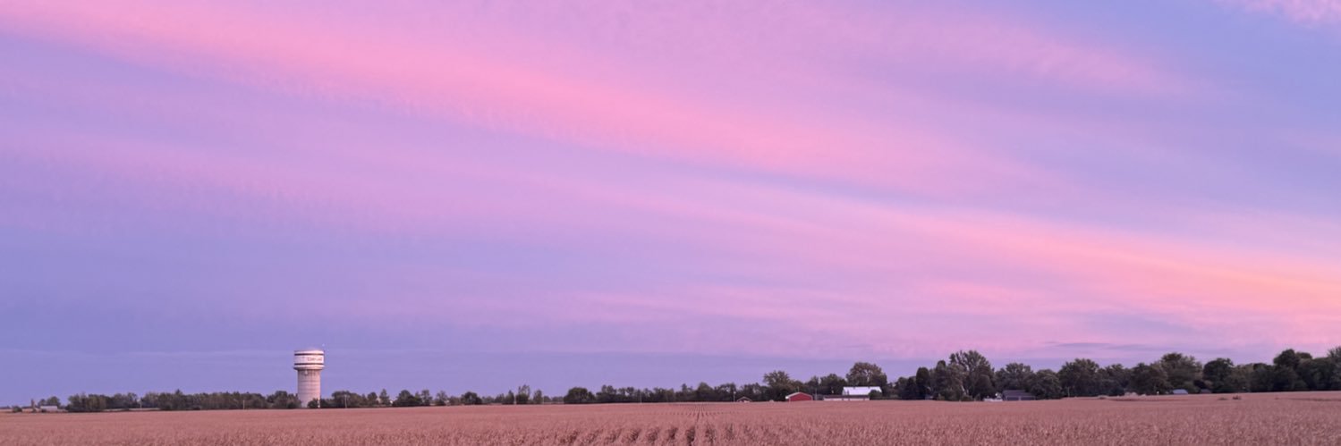TeamManxCats's profile banner image