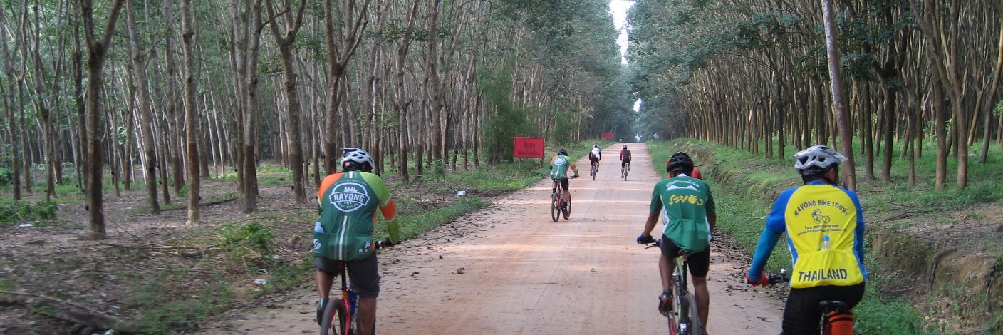 RayongBikeTours's profile banner image