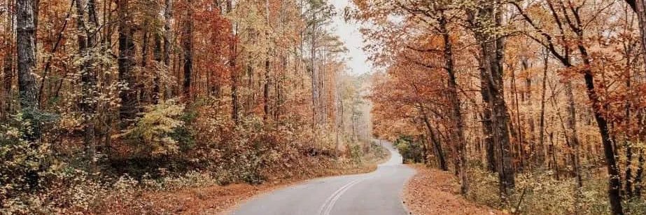 VickyyN's profile banner image