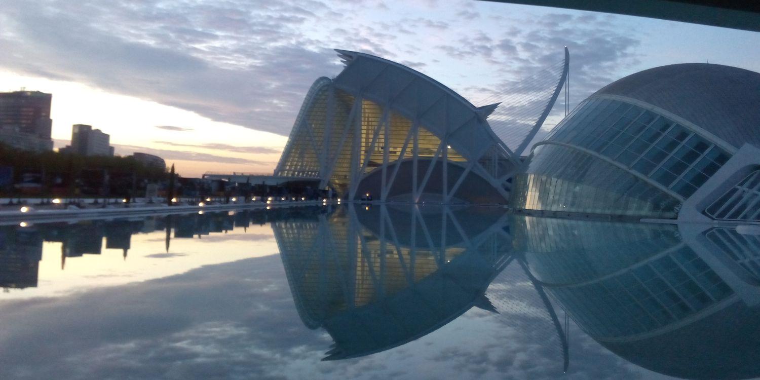 Sandra Merino banner