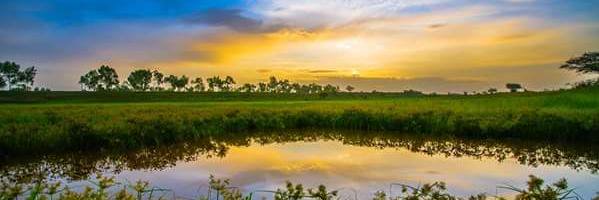 Eden Creation Care Initiative (EDEN) banner