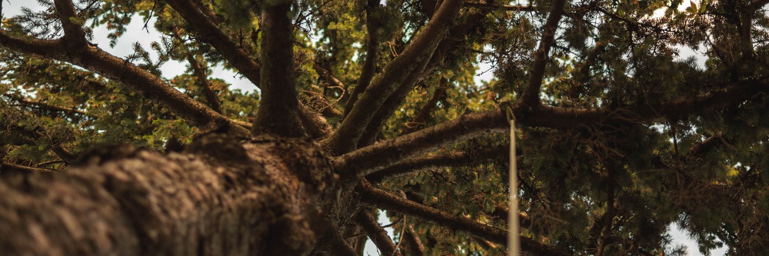 matony1989's profile banner image