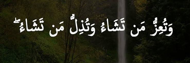 Taufeeq___Ali's profile banner image