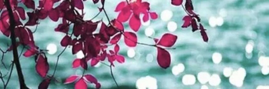 Ohoud_ath's profile banner image