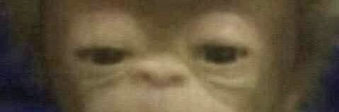 marioluna9813's profile banner image