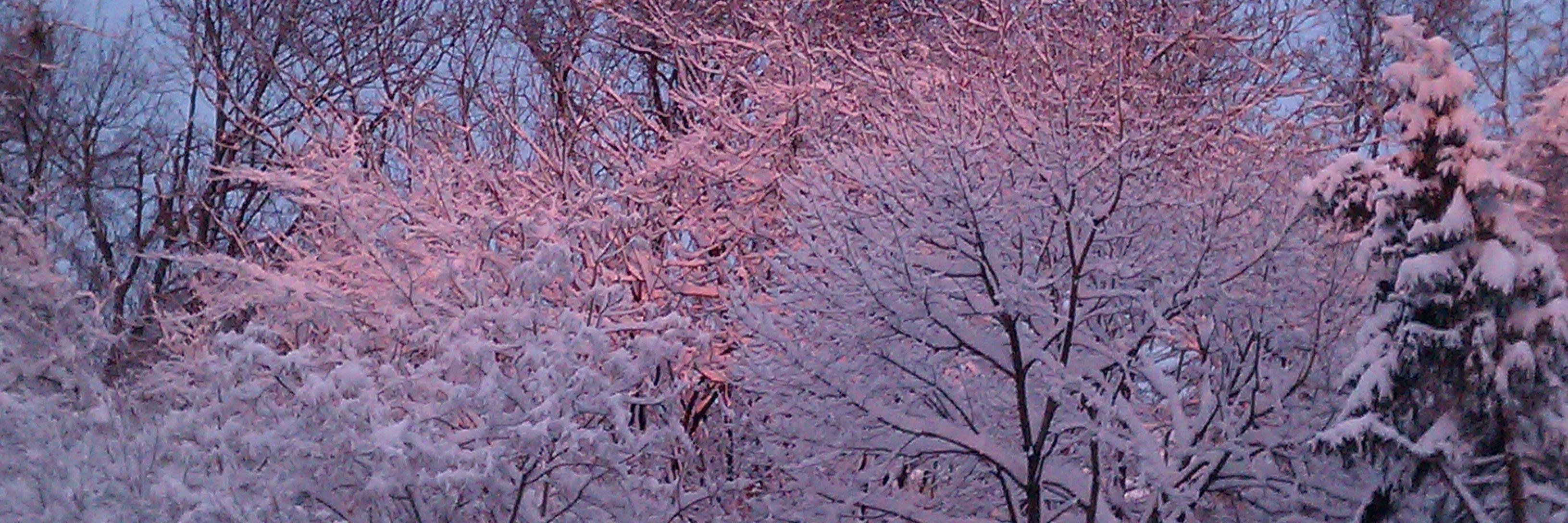 lindap1226's profile banner image