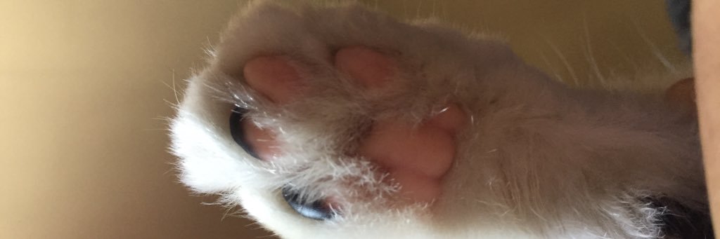 GabiiMart's profile banner image