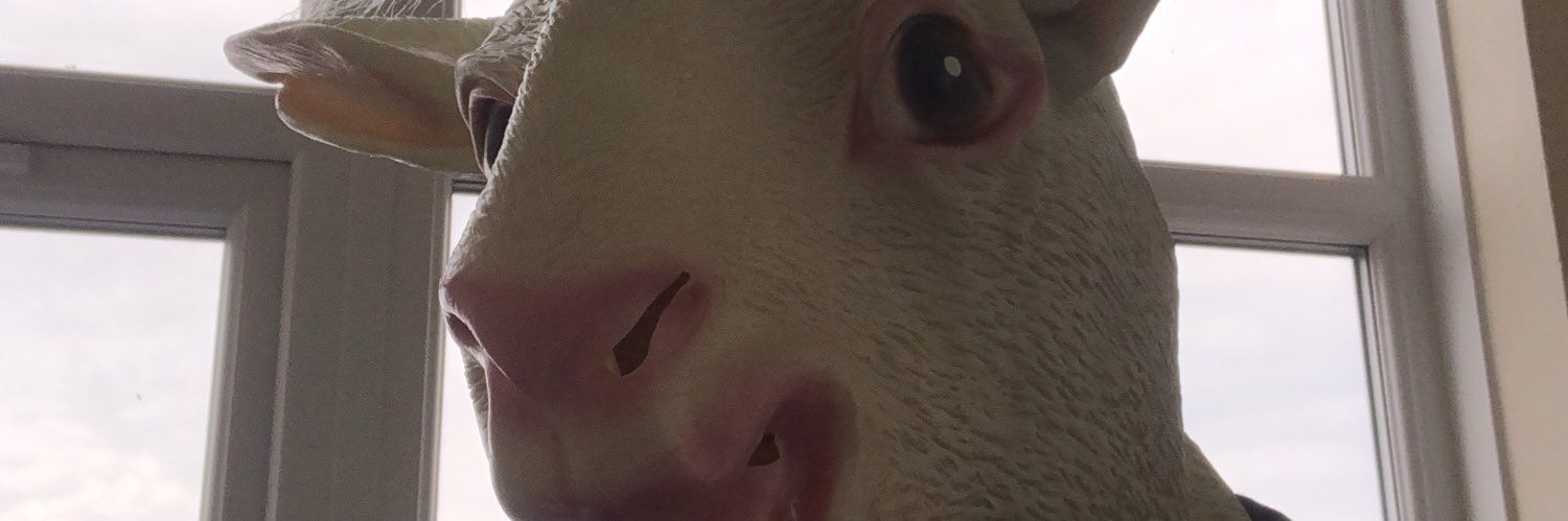 BadGoatOfficial's profile banner image