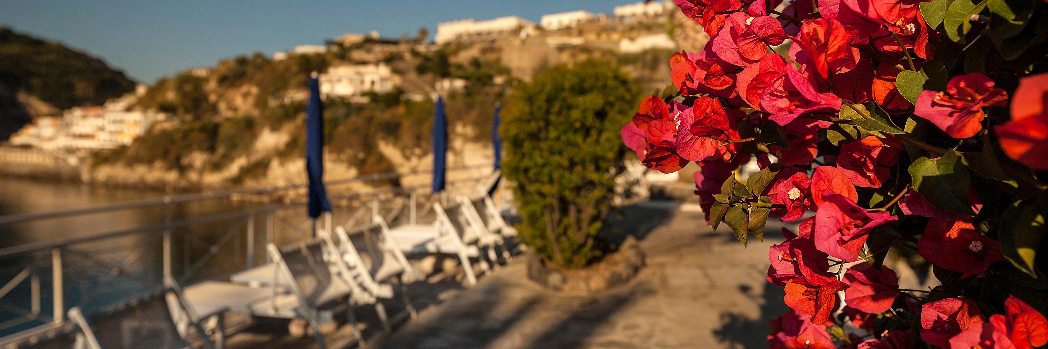 Hotel Apollon Club banner