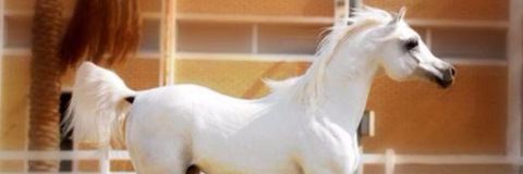 eerr9182's profile banner image