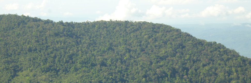 ivan_pr24's profile banner image