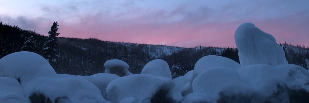 Griz_Feen's profile banner image