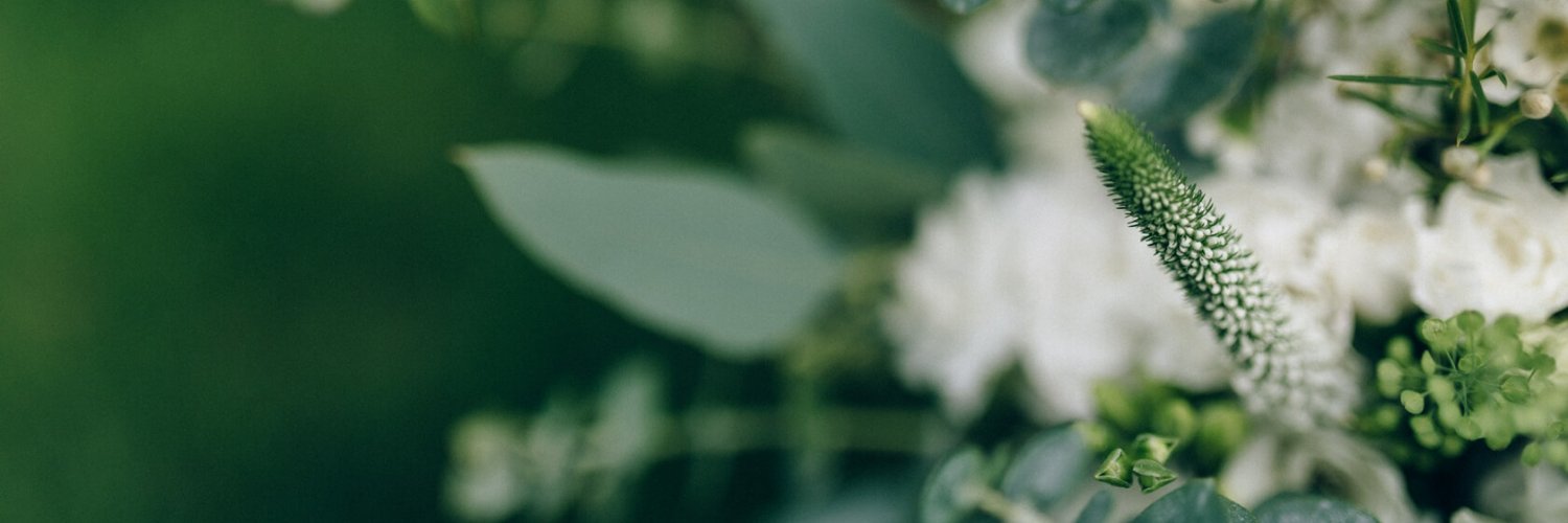 StrictlyWeddings banner