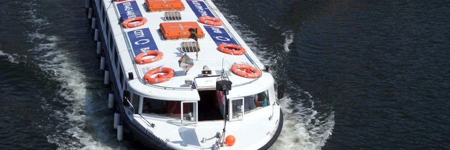 Princess Katharine banner