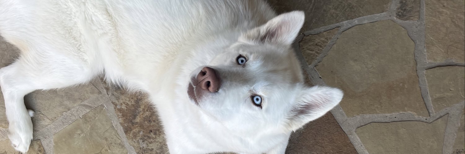 BrothaFox's profile banner image
