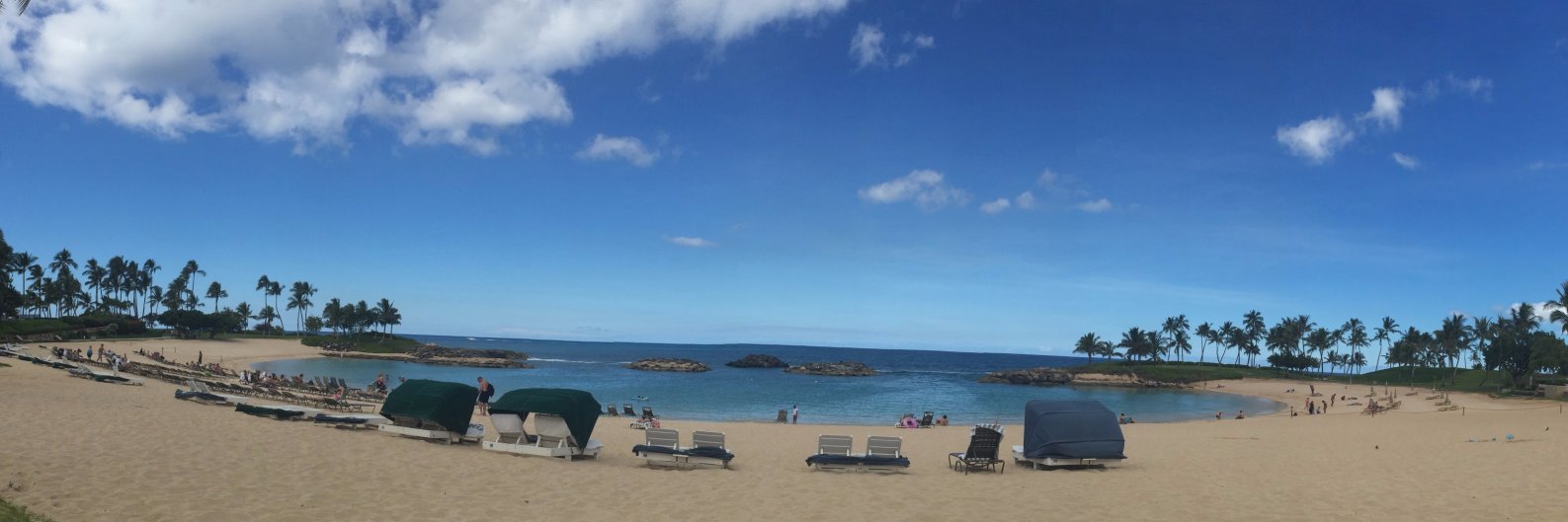 Robert Einhorn banner