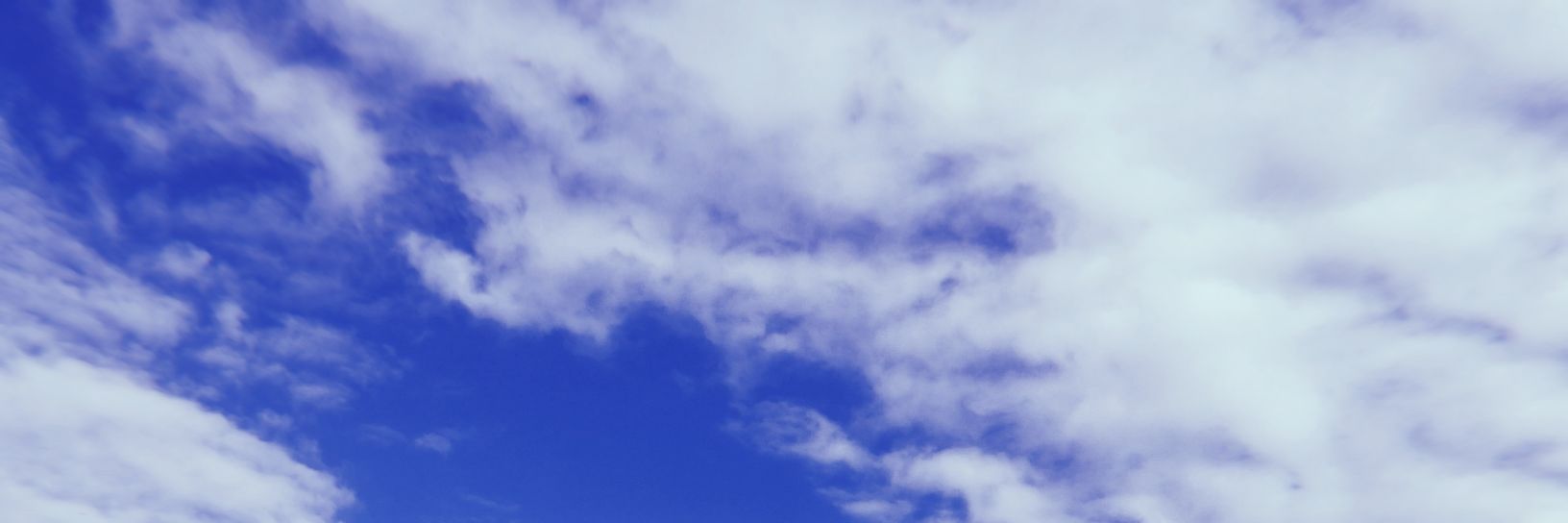 manon_fcd's profile banner image