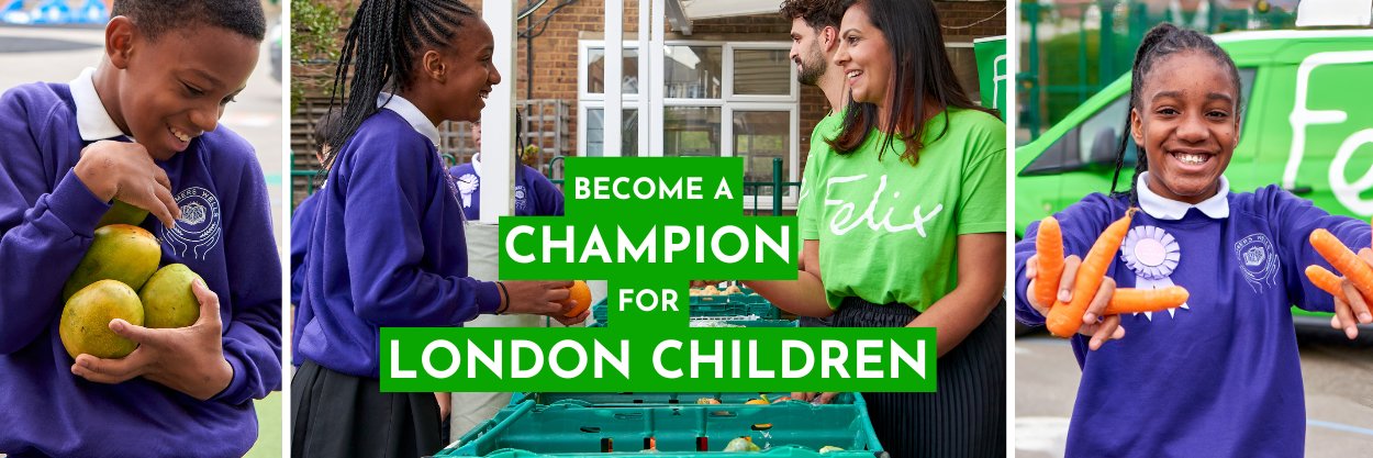 thefelixproject banner