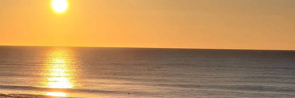 Bridget Fleming banner