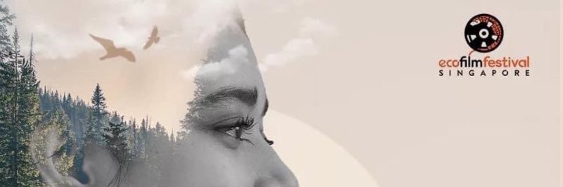 SGEFFest's profile banner image