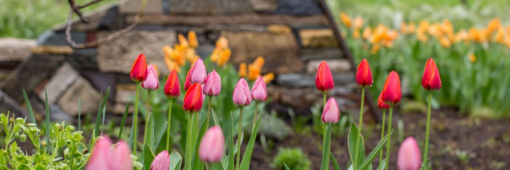 PhillipsGarden's profile banner image
