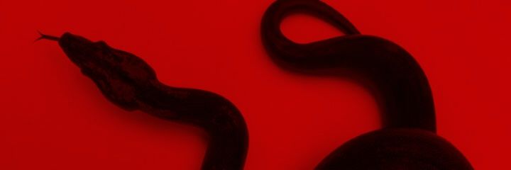 Judioxx's profile banner image