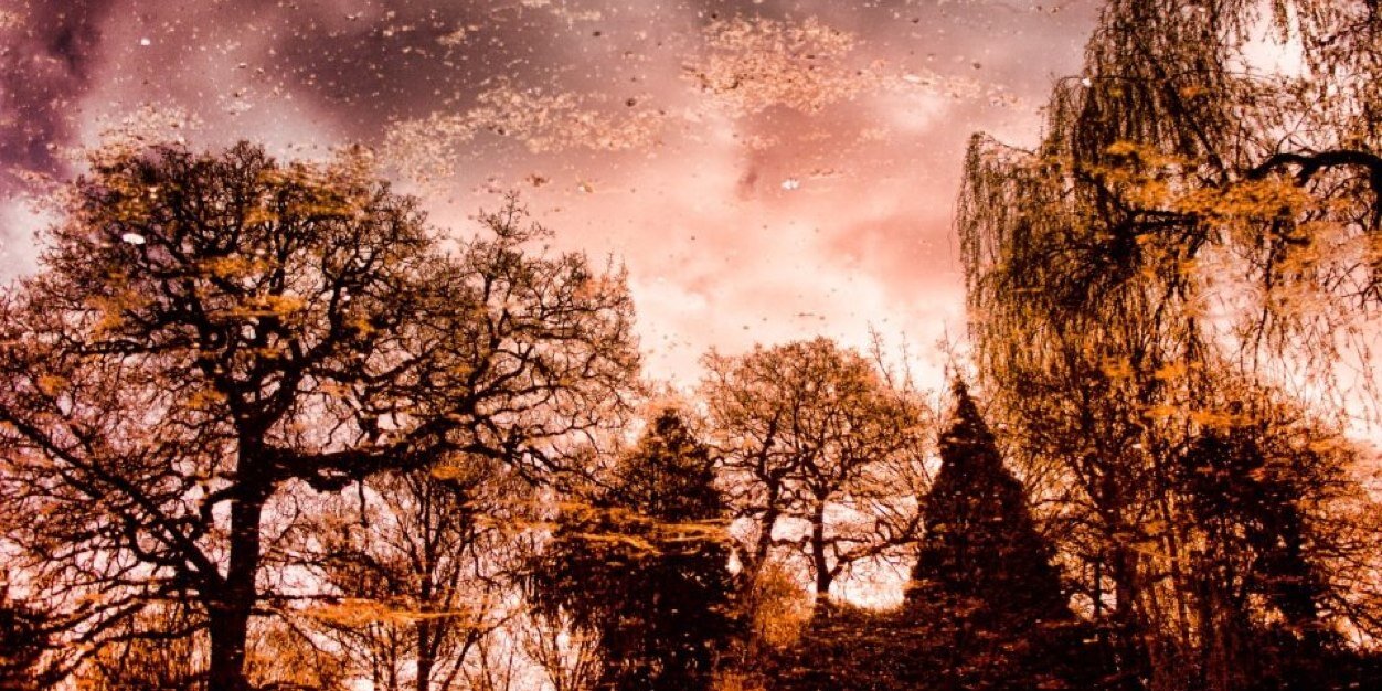 JayCGould's profile banner image