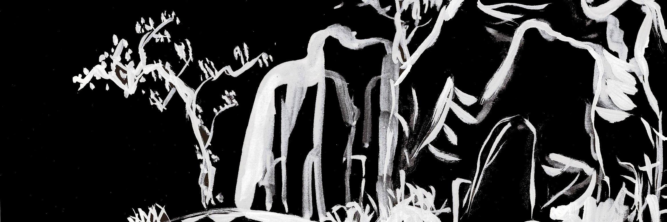 Pivenet's profile banner image