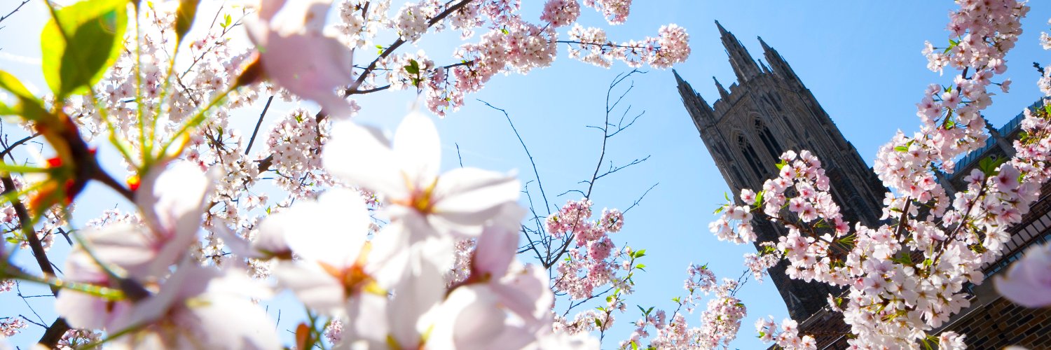 Duke Center for International Development banner