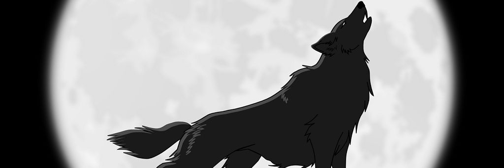 Robert Fletcher banner