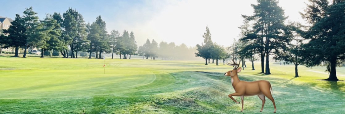 Deer Park GCC (@DeerPark_Club) / Posts / X