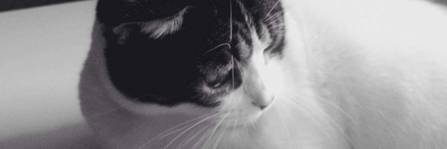 carmencbr's profile banner image