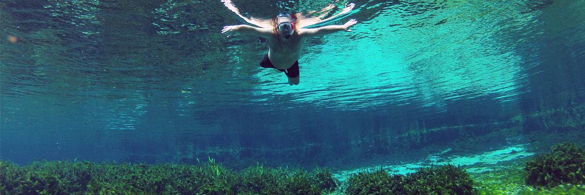 NaturalNorthFL's profile banner image