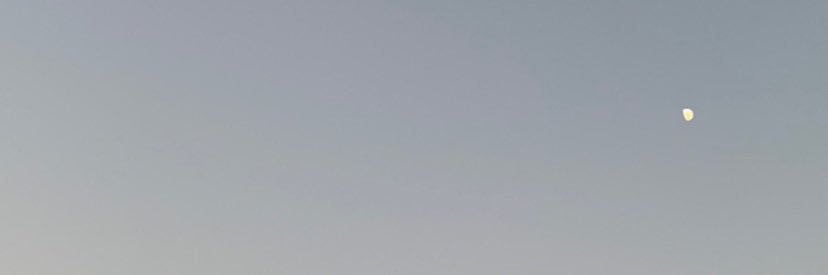 lvO24l's profile banner image