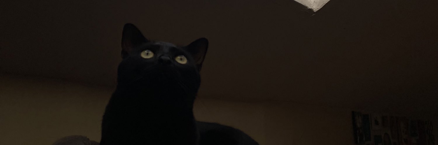 nlepage15's profile banner image