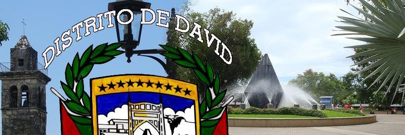 Municipio_David's profile banner image