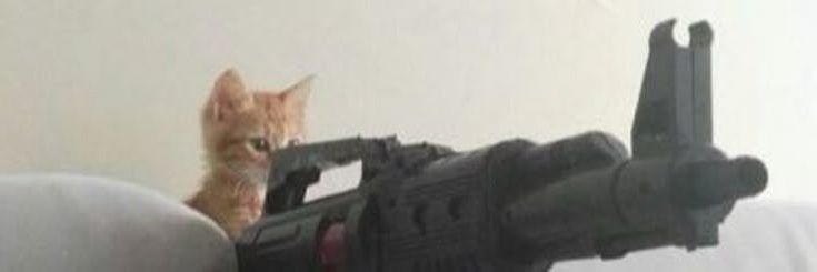 seltcry's profile banner image