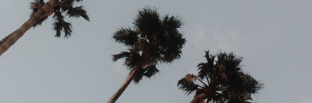 fergalicious02's profile banner image