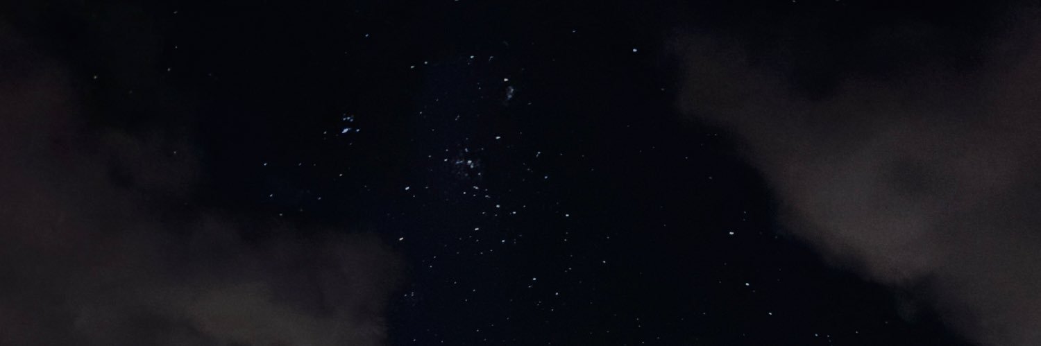 TaliaMinig's profile banner image