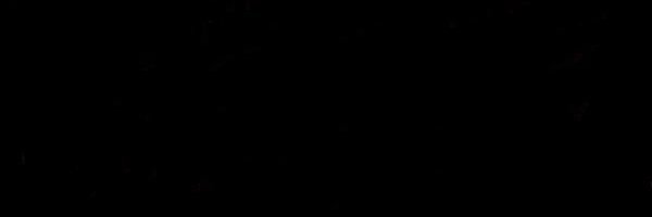 Andrea Santese banner