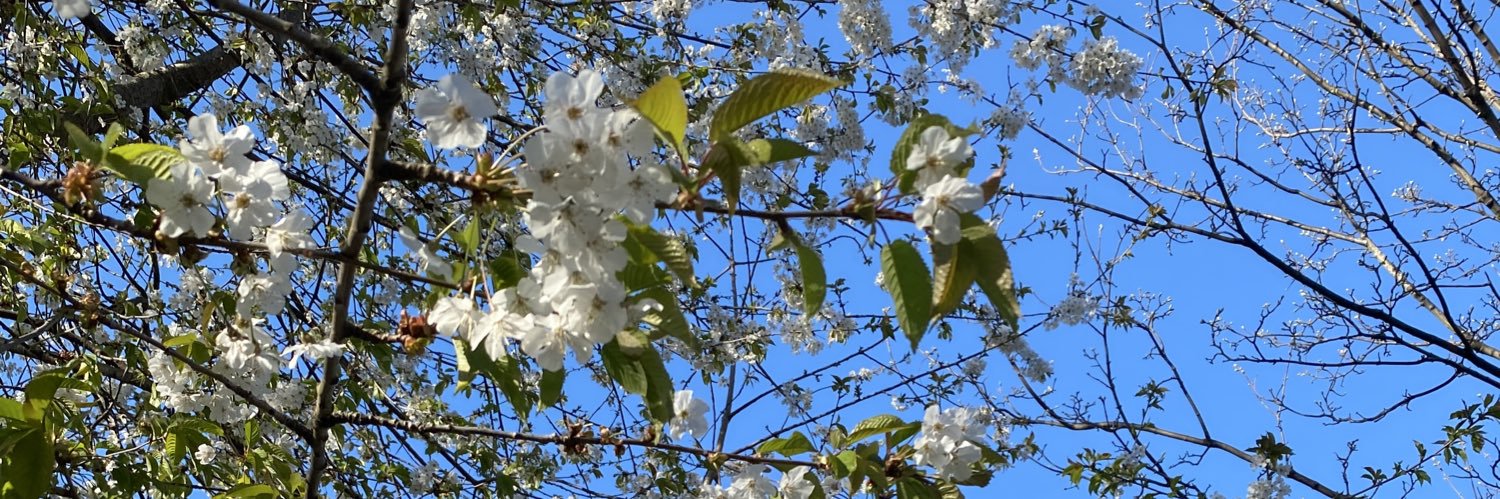 джо banner