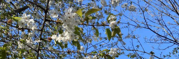 wafflejo Profile Banner