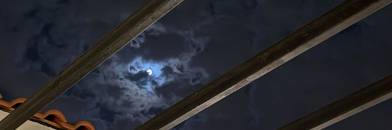 _iialill's profile banner image